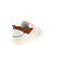 Franco Romagnoli low shoes white 4