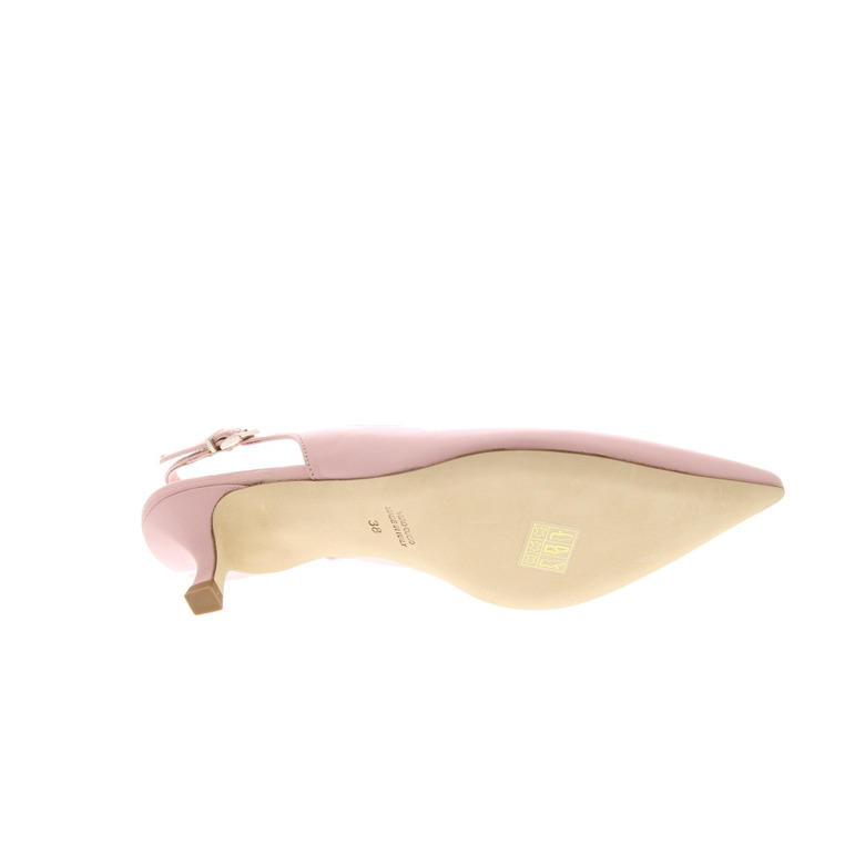 Rotta pumps rose 5