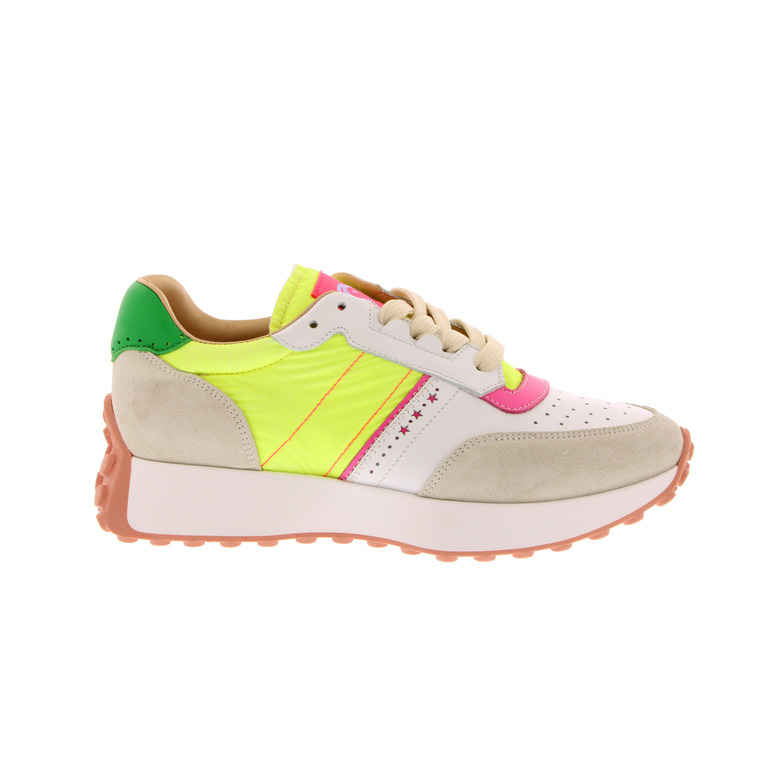 Rondinella chaussures basses multicolor 1
