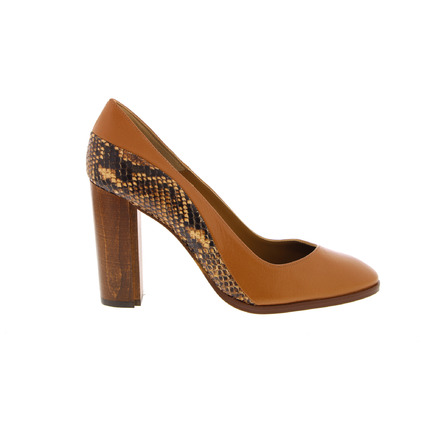 Thiron pumps camel
