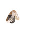Agl sandales argent 4