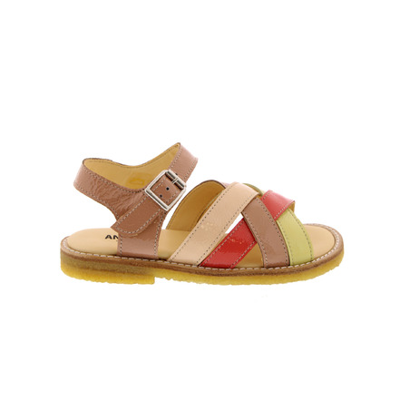 Angulus sandales multicolor