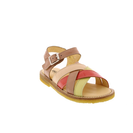 Angulus sandales multicolor