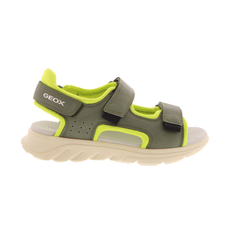 Geox sandalen grÜn