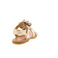 Zecchino D'oro sandals gold 4