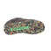 Globe sneakers zwart 5