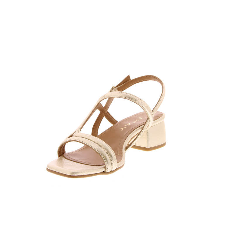J.hay sandalen goud 3