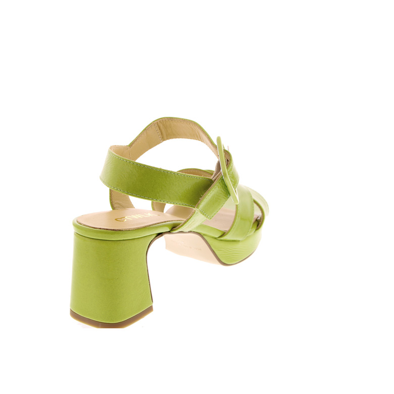 Ctwlk sandals green 4