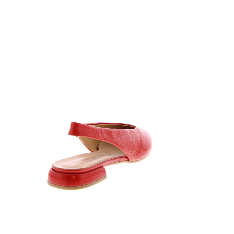 Emmeblu Altramarea pumps rot 4