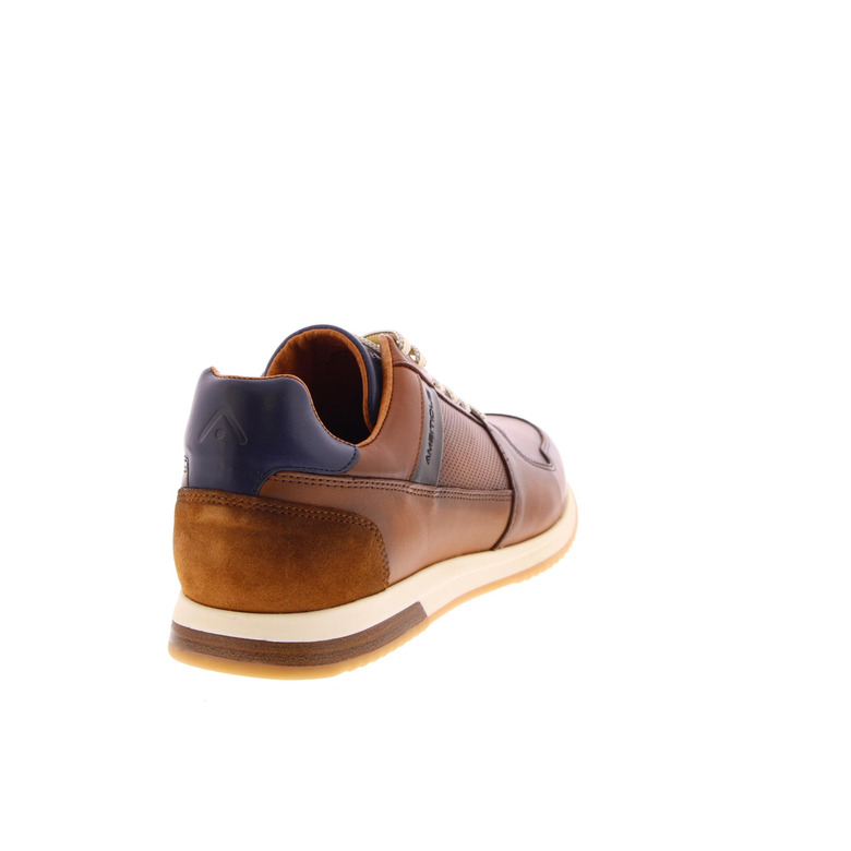 Ambitious sneakers cognac 4