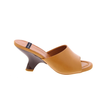 Angel Alarcon tongs camel