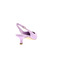 Rotta pumps violet 4