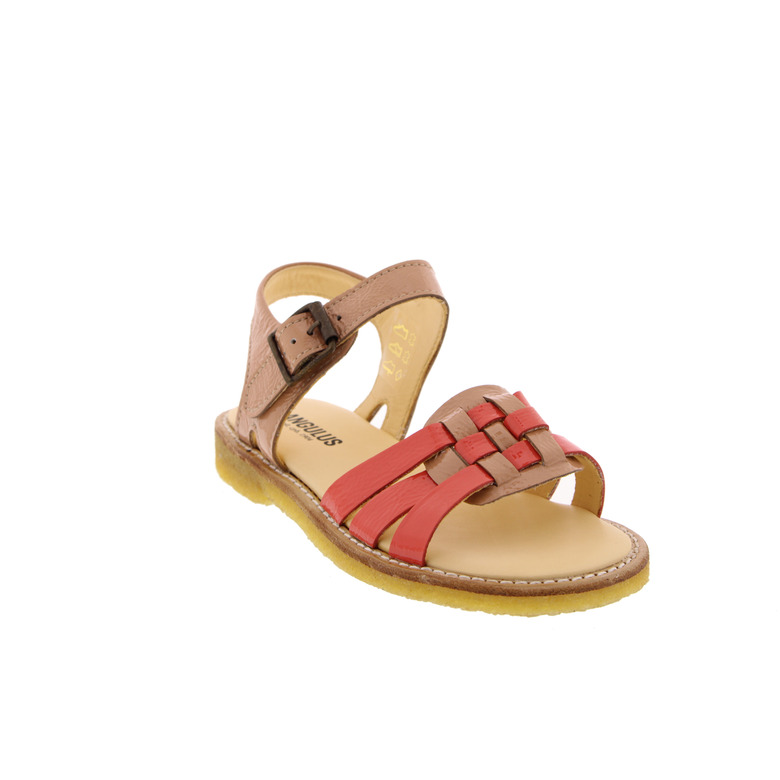 Angulus sandales multicolor 2
