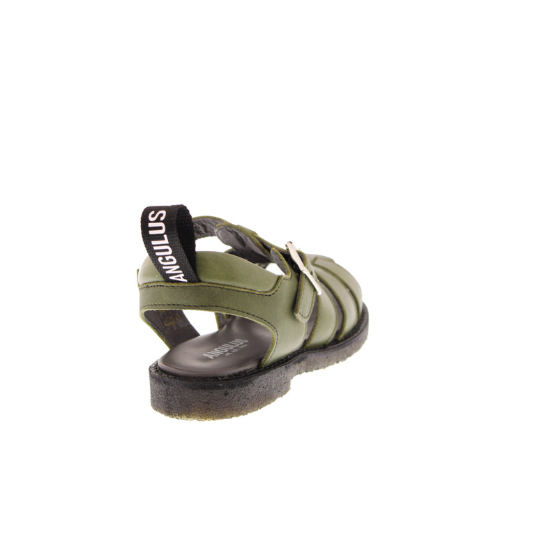 Angulus sandalen kaki 4
