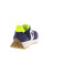 Clic low shoes blue 4