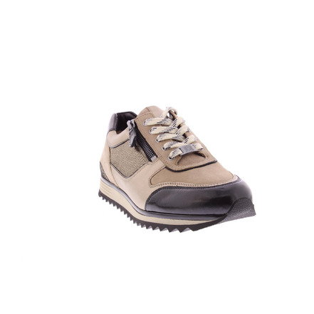 Hassia sneakers taupe