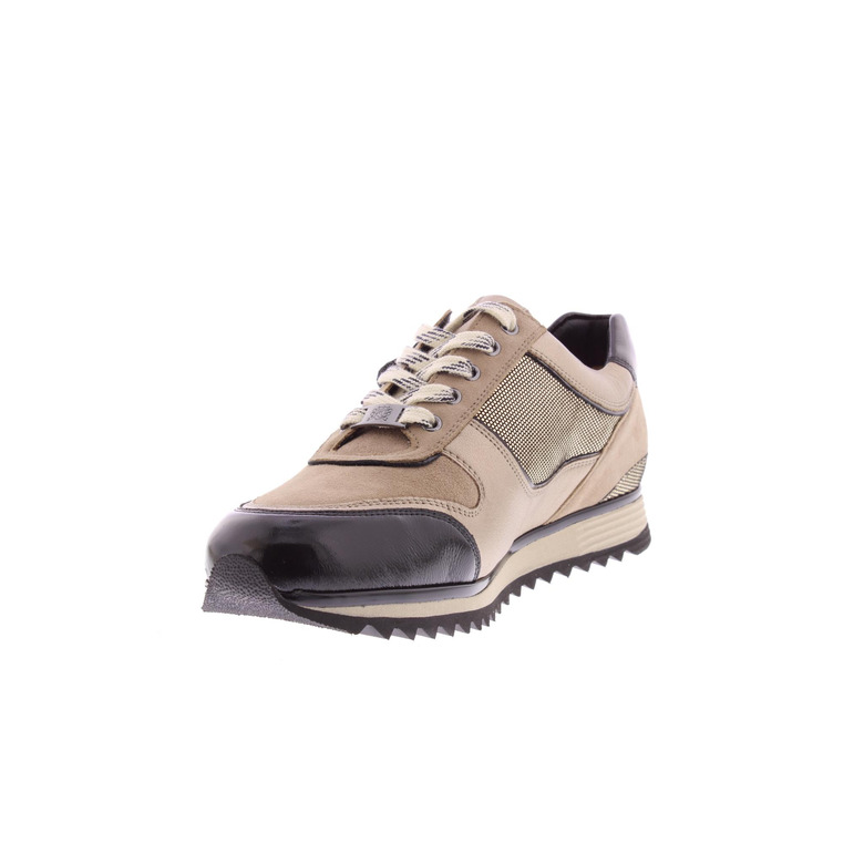 Hassia sneakers taupe 3