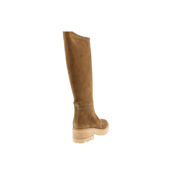 Debutto Donna stiefel camel 4
