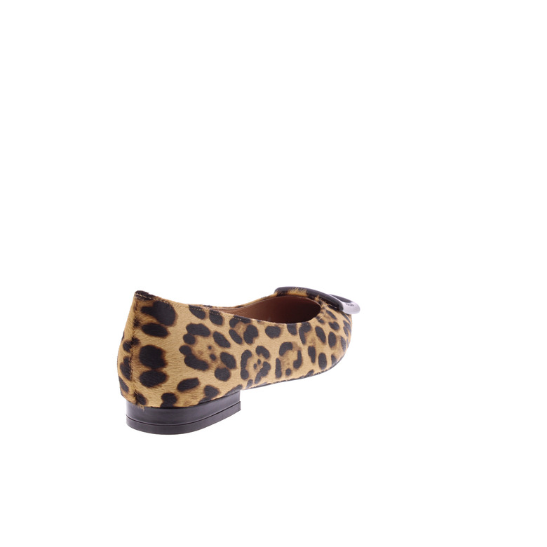 Bibi Lou ballerina's bruin 4