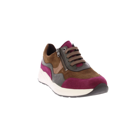 Solidus sneakers multi color