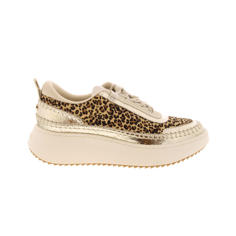 Steve Madden sneakers braun 1