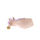 Angel Alarcon sandales violet 5