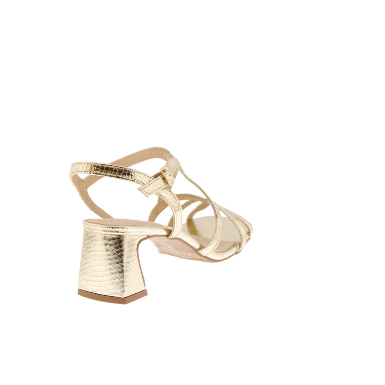 Tango sandales or 4