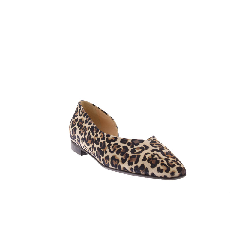 Louisa ballerina's bruin 2
