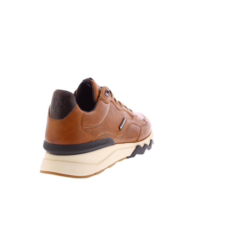 Floris Van Bommel sneakers cognac 4