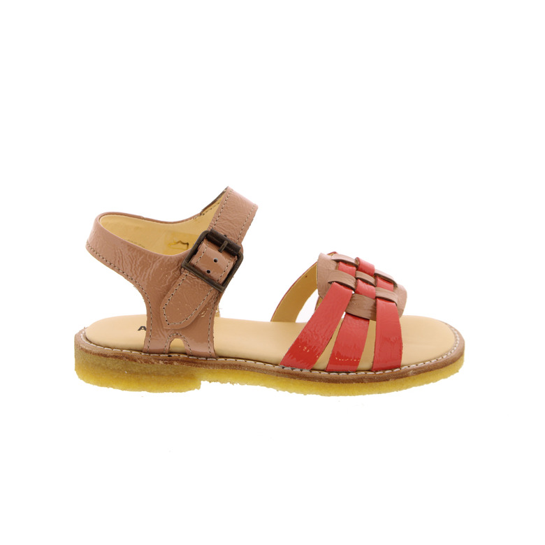 Angulus sandales multicolor 1