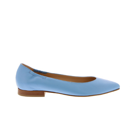 Maripe ballerina's blauw
