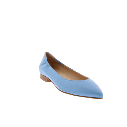 Maripe ballerina's blauw