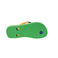 Havaianas slippers groen 5